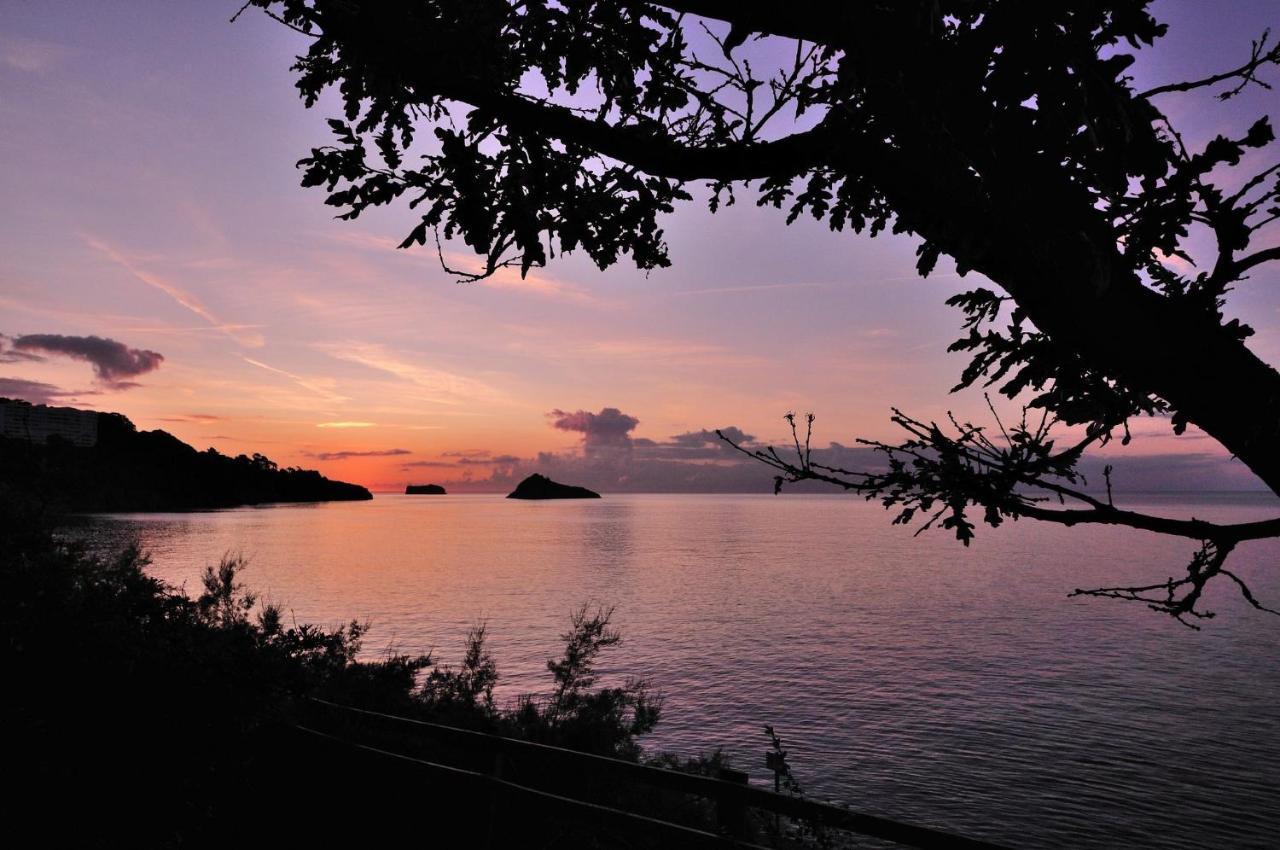 English Riviera Sunrise Villa Torquay Eksteriør billede